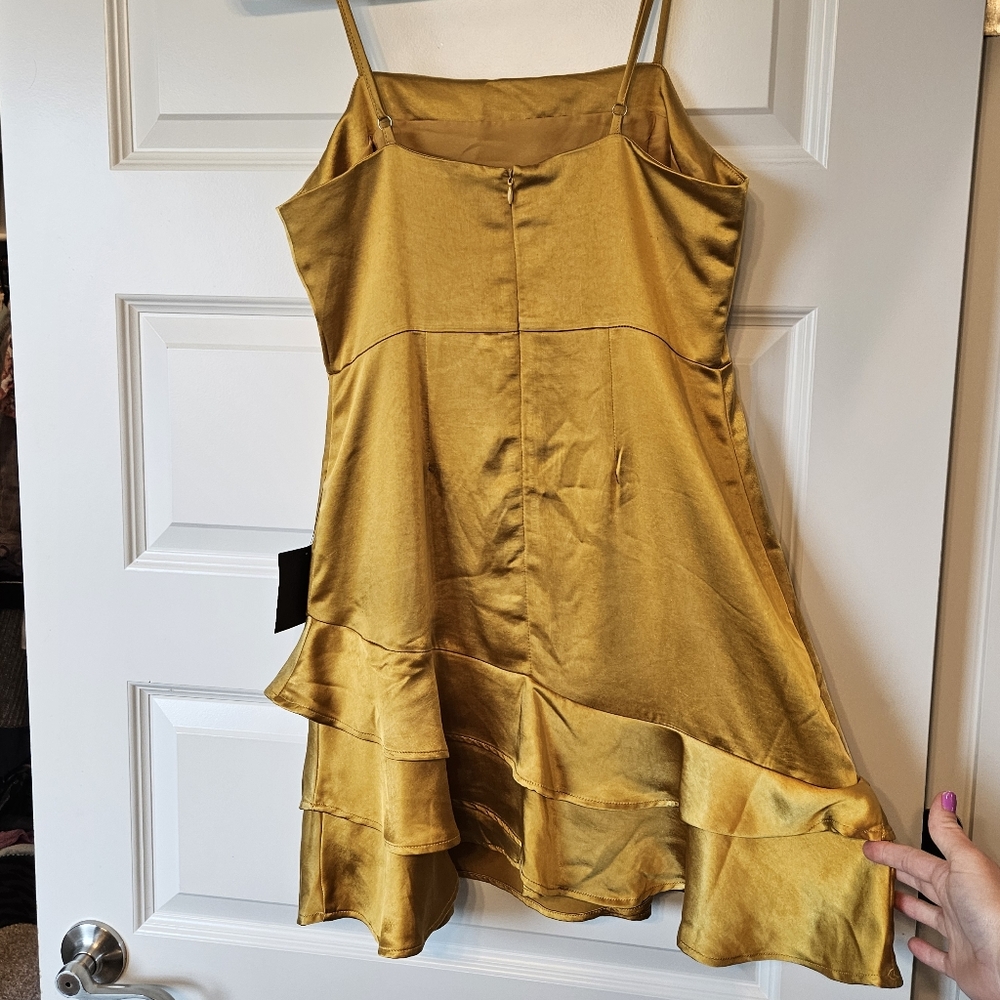 Lulu's dress - Picture 2 of 6
